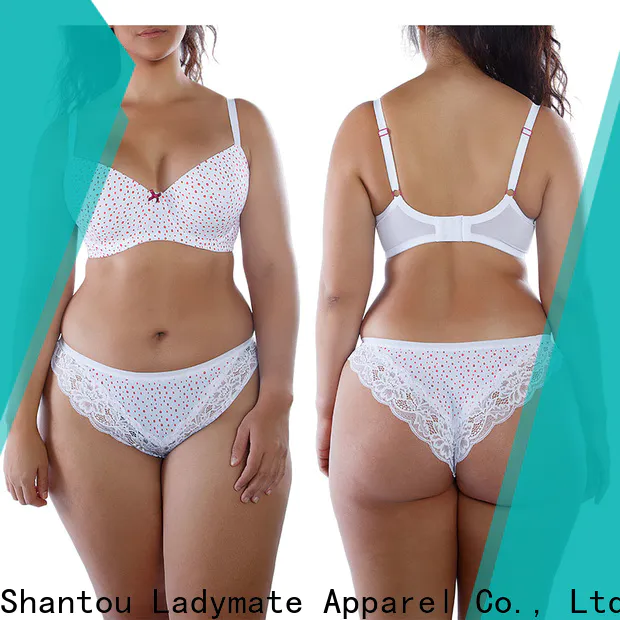 elegant plus size underwear slips supplier for women