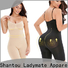 stylish lace bodysuit inquire now for women