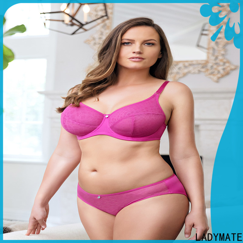 embroidery sheer tanga wholesale for women