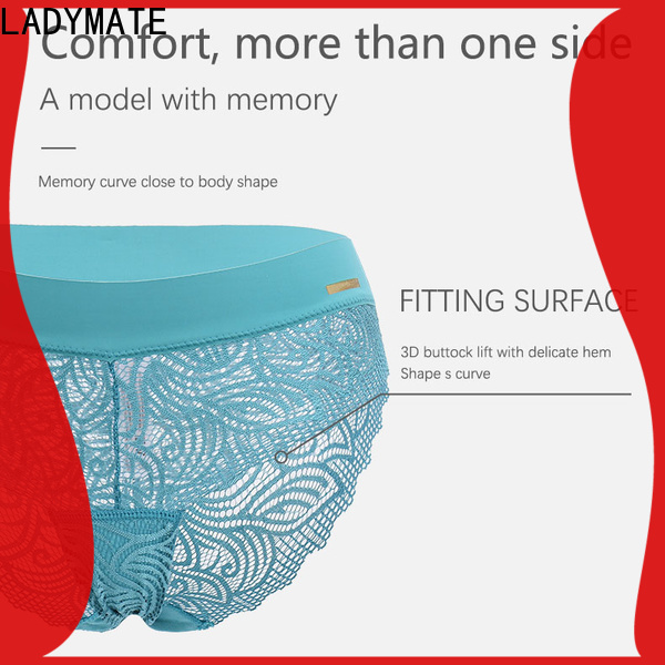 embroidery high cut briefs factory for women